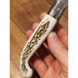 Coltello regionale Zuava L'artigiano Scarperia corno di Cervo 19,5 cm Coltello regionale Zuava L'artigiano Scarperia corno di Cervo 19,5 cm