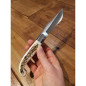 Coltello regionale Zuava L'artigiano Scarperia corno di Cervo 19,5 cm Coltello regionale Zuava L'artigiano Scarperia corno di Cervo 19,5 cm