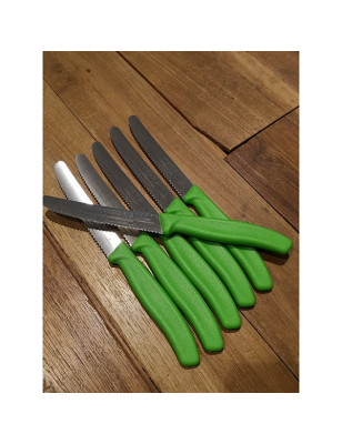 Set 6 coltelli da tavola Victorinox 6.7836.L114 verde