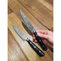 Set 2 coltelli bistecca Miyabi Hibana 800DP cm 12
