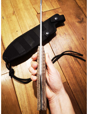 Coltello lama fissa Viper con fodero incluso