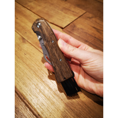 Coltello chiudibile per funghi Fox Spora FX-409