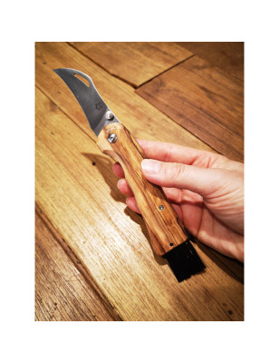 Coltello chiudibile per funghi Fox Spora FX-409 OL