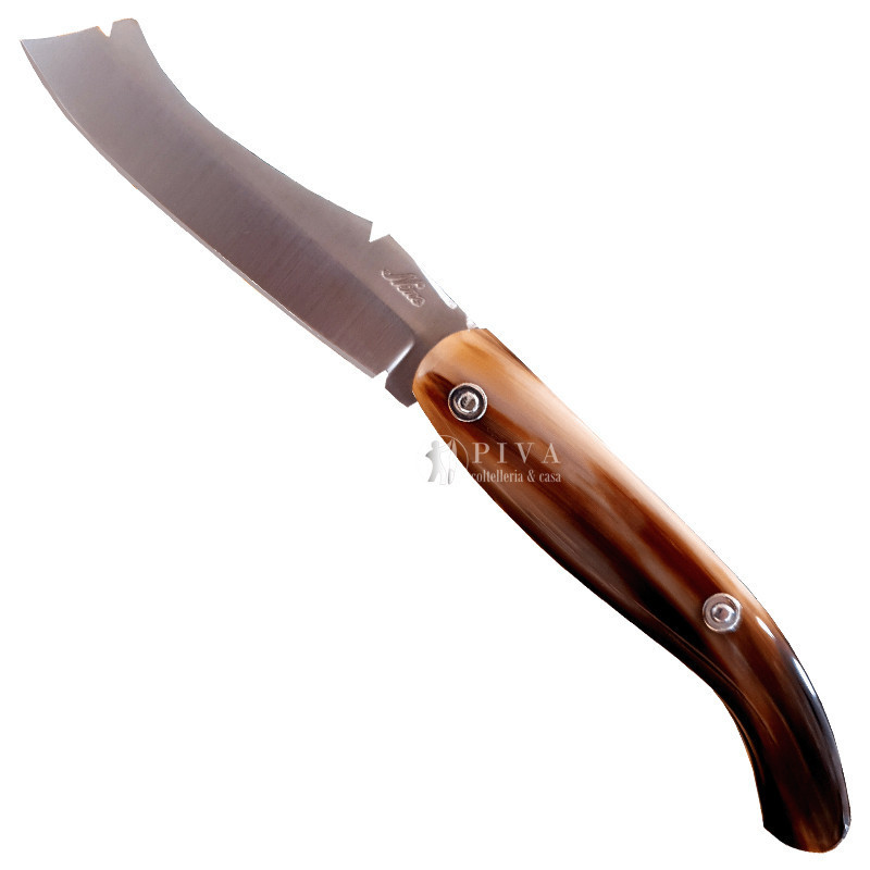 Coltello Mozzetta di Guardiagrele Nino corno di Bue cm 17 Coltello Mozzetta di Guardiagrele Nino corno di Bue cm 17