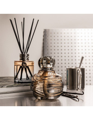 lampada catalitica Lampe Berger Dare nudo e grigio. Idea regalo per casa, cucina, bagno, soggiorno