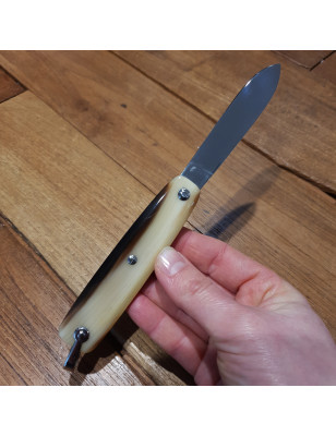 Coltello chiudibile artigianale modello Canif manico corno biondo. Prodotto in Francia