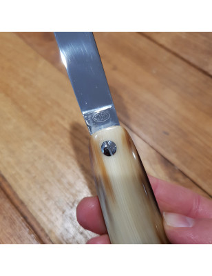 Coltello chiudibile Canif manico corno biondo Mongin. Coltelleria Piva Conselve