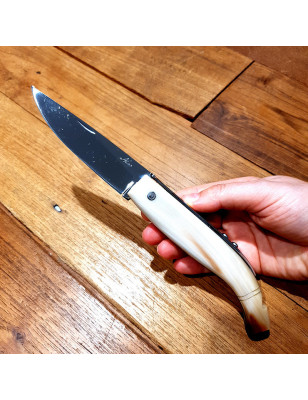 Coltello chiudibile Pescatore lucido Nino corno di bue 23 cm