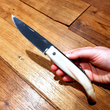 Coltello chiudibile Pescatore lucido Nino corno di bue 23 cm