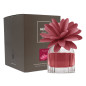 Profumatore per ambiente Muhà melograno 60 ml Profumatore per ambiente Muhà melograno 60 ml