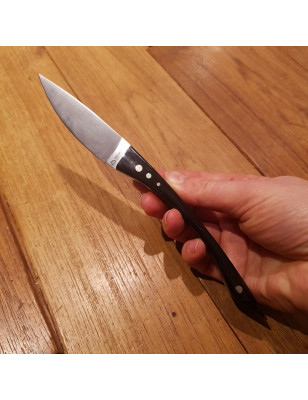 Set 2 coltelli da tavola per bistecca Maserin Pakkawood