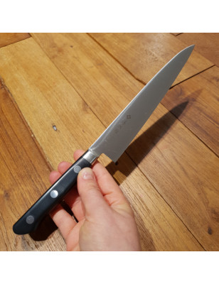 Coltello professionale giapponese ottimo rapporto qualità prezzo