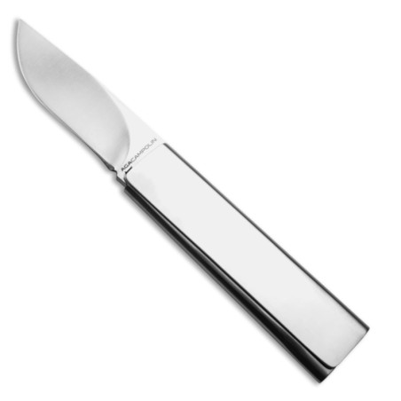 Coltello chiudibile Aga campolin Dragonfly acciaio inox