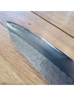 coltello cuoco giapponese