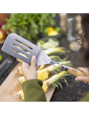 Idea regalo per gli amanti del barbecue bbq