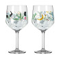 Set 2 calici Gin Tonic Ritzenhoff Botanic Glamour Gwaw 72 cl Set 2 calici Gin Tonic Ritzenhoff Botanic Glamour Gwaw 72 cl