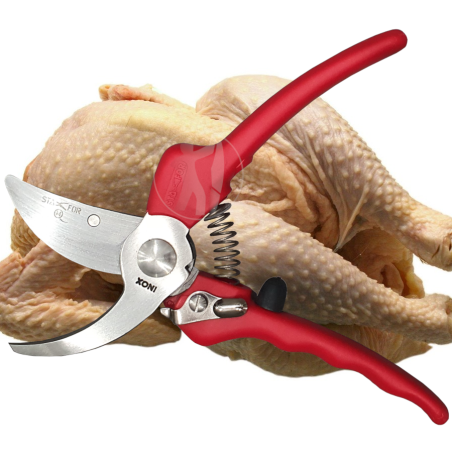 Forbice per pollo inox Stafor 901. Ogni pezzo di ricambio. Realizzata in Italia