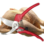 Forbici per pollo crudo inox Stafor 901 Forbici per pollo crudo inox Stafor 901
