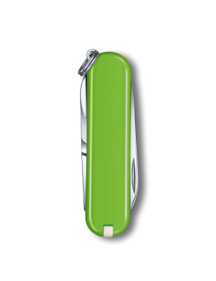 Coltelleria Piva Conselve, rivenditore ufficiale coltelli multiuso Victorinox