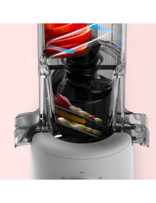 Estrattore di succo Hurom H310A colore carbone