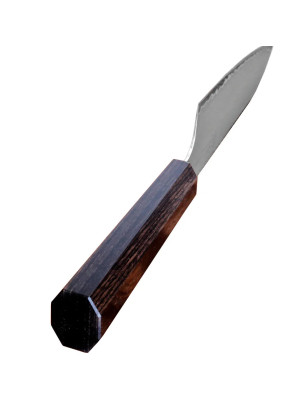 Coltello da cucina cuoco chef trinciante realizzato in Giappone