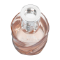 Cofanetto Lampe Berger Spirale rosa ambra e profumo 250 ml Cofanetto Lampe Berger Spirale rosa ambra e profumo 250 ml