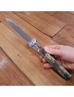 Coltello chiudibile da caccia Fraraccio corno antico 28 cm