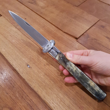 Coltello chiudibile da caccia Fraraccio corno antico 28 cm