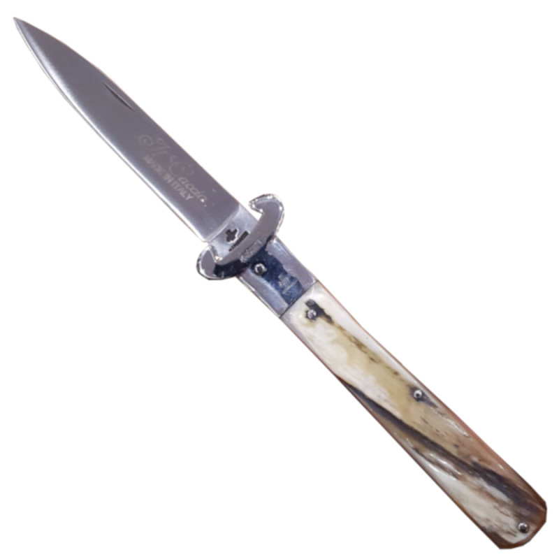 Coltello chiudibile da caccia Fraraccio corno antico 23 cm Coltello chiudibile da caccia Fraraccio corno antico 23 cm