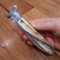 Coltello chiudibile da caccia Fraraccio corno antico 23 cm Coltello chiudibile da caccia Fraraccio corno antico 23 cm
