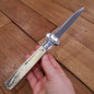 Coltello chiudibile da caccia Fraraccio corno antico 23 cm Coltello chiudibile da caccia Fraraccio corno antico 23 cm