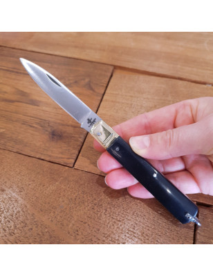 Coltello da tasca con lama di qualità in acciaio inox