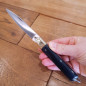 Coltello chiudibile Fraraccio ABS nero 19 cm Coltello chiudibile Fraraccio ABS nero 19 cm