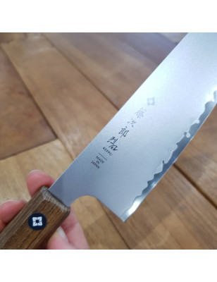 professionale Japanese knife