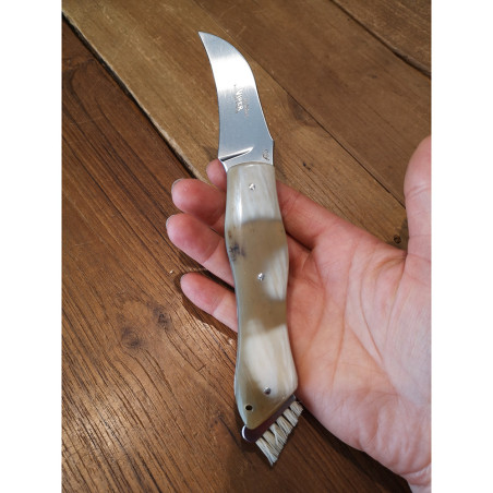 Coltello chiudibile da funghi Viper Boletus PC Corno di Bue