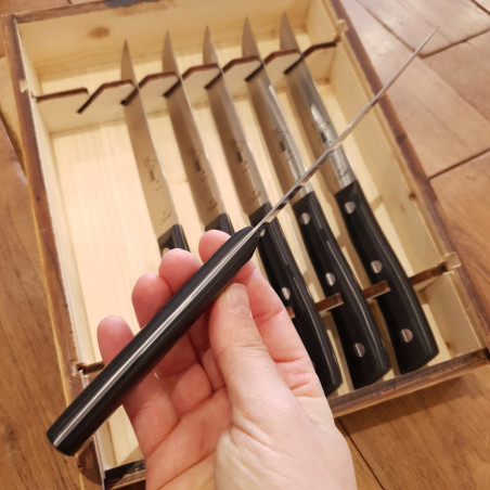 Set 6 coltelli da bistecca Maglio Nero Iside POM 12 cm