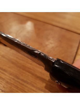 Coltello da tasca artigianale Citadel Le Bugue corno di Bufalo
