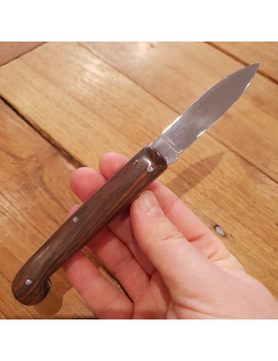 Coltello da tasca tascabile pieghevole con impugnatura in legno di Noce