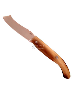 Coltello Mozzetta Guardiagrele Nino corno di bue 20 cm a specchio