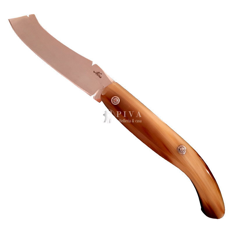 Coltello Mozzetta Guardiagrele Nino corno di bue 20 cm a specchio