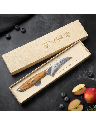 Spelucchino curvo Hezhen Flagship lama damasco 10 cm