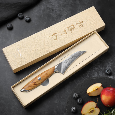 Spelucchino curvo Hezhen Flagship lama damasco 10 cm