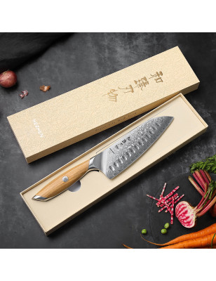 Coltello da cucina con lama in acciaio damasco super affilata