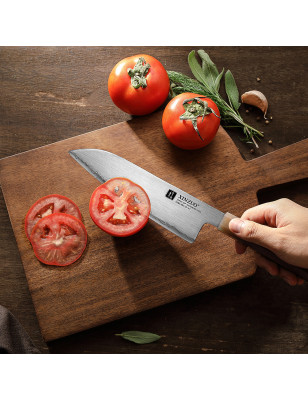 Coltello Santoku XinZuo X05Z acciaio in polvere 18 cm