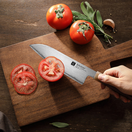 Coltello Santoku XinZuo X05Z acciaio in polvere 18 cm