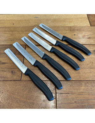 Set di coltelli da tavola seghettati per pizza, carne, pane, dolci