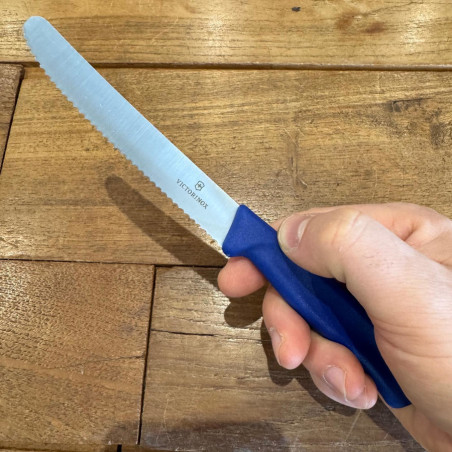 Set 6 coltelli da tavola Victorinox blu