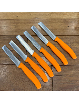 Set 6 coltelli da tavola Victorinox arancione