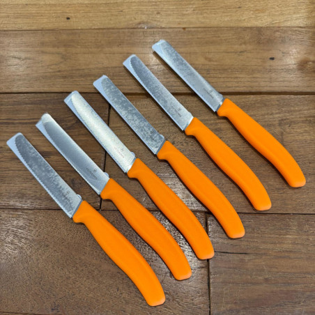 Set 6 coltelli da tavola Victorinox arancione