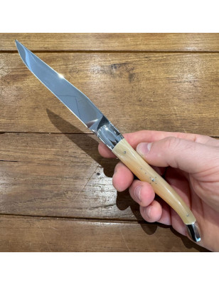 Coltelli da tavola, finitura lucida con manico in corno chiaro, set da 6